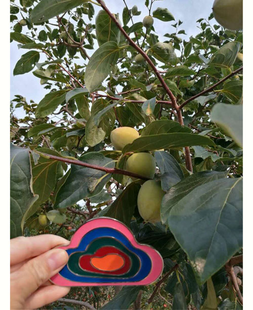 2025年陕西富平特级柿饼 吊柿饼 礼盒装（云知道定制）