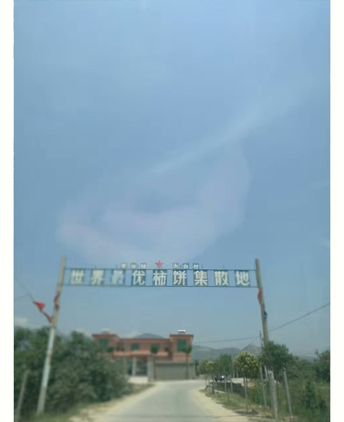 2025年陕西富平特级柿饼 吊柿饼 礼盒装（云知道定制）