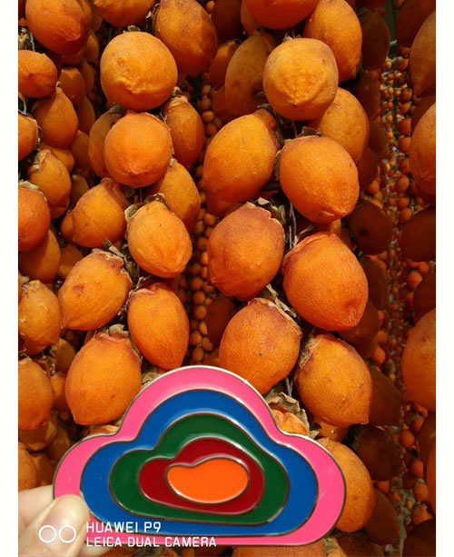 2025年陕西富平特级柿饼 吊柿饼 礼盒装（云知道定制）