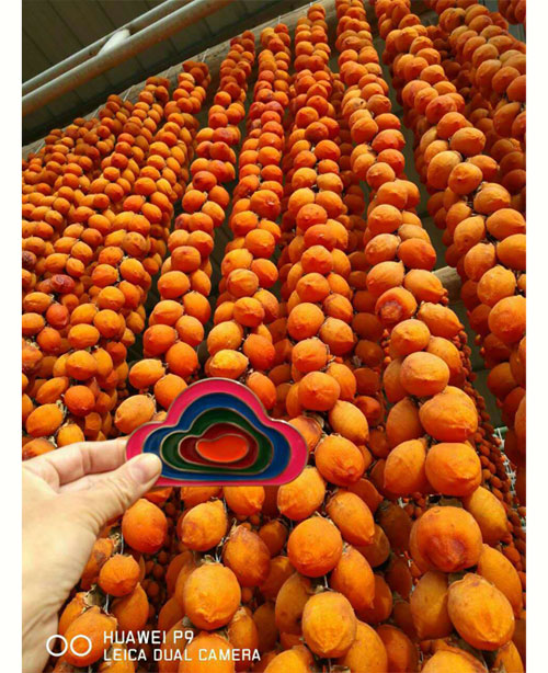 2025年陕西富平特级柿饼 吊柿饼 礼盒装（云知道定制）