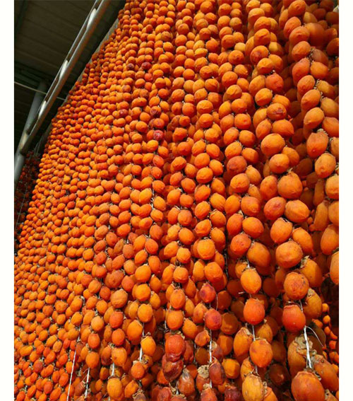 2025年陕西富平特级柿饼 吊柿饼 礼盒装（云知道定制）