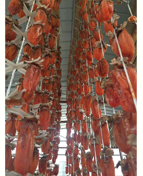 2025年陕西富平特级柿饼 吊柿饼 礼盒装（云知道定制）