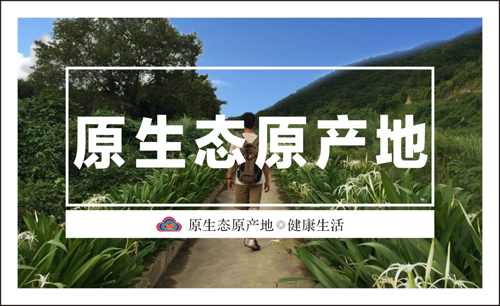 2025年陕西富平特级柿饼 吊柿饼 礼盒装（云知道定制）