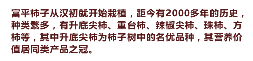 2025年陕西富平特级柿饼 吊柿饼 礼盒装（云知道定制）