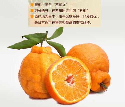 新品特价30-4月1号 四川不知火丑八怪丑橘丑柑（四川库发货）