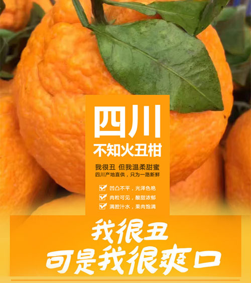 新品特价30-4月1号 四川不知火丑八怪丑橘丑柑（四川库发货）