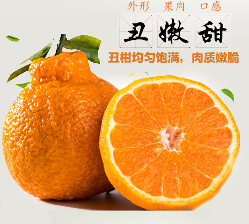 新品特价30-4月1号 四川不知火丑八怪丑橘丑柑（四川库发货）