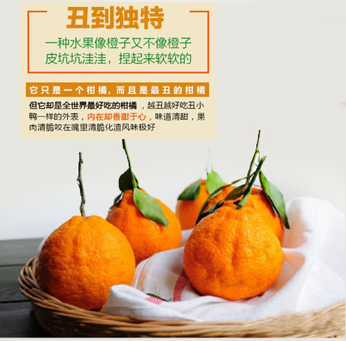 新品特价30-4月1号 四川不知火丑八怪丑橘丑柑（四川库发货）