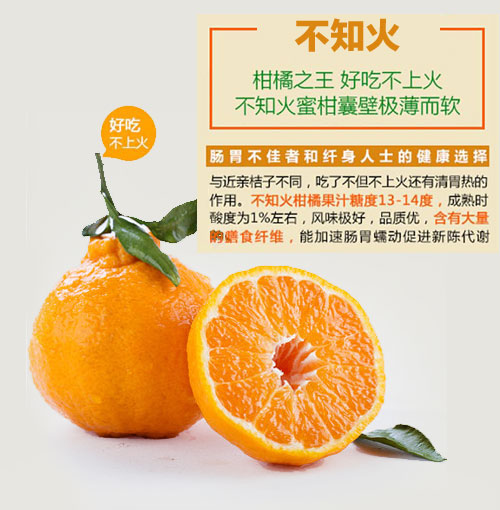 新品特价30-4月1号 四川不知火丑八怪丑橘丑柑（四川库发货）