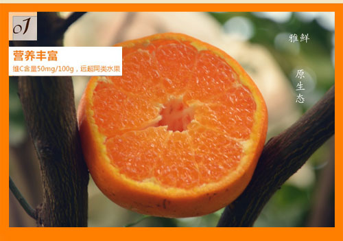 新品特价30-4月1号 四川不知火丑八怪丑橘丑柑（四川库发货）