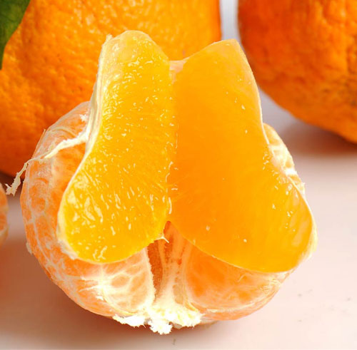 新品特价30-4月1号 四川不知火丑八怪丑橘丑柑（四川库发货）