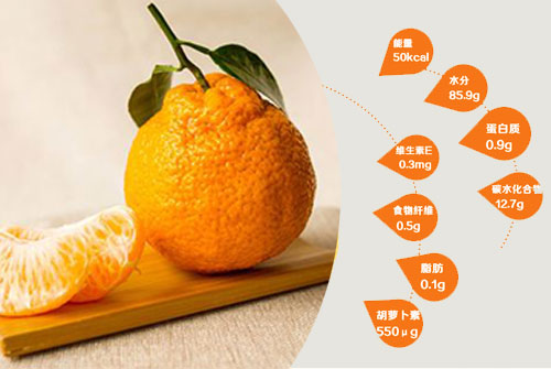 新品特价30-4月1号 四川不知火丑八怪丑橘丑柑（四川库发货）