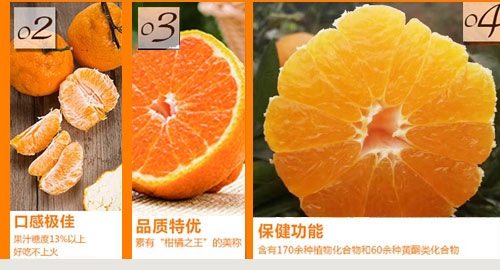 新品特价30-4月1号 四川不知火丑八怪丑橘丑柑（四川库发货）