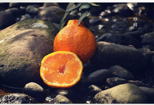 新品特价30-4月1号 四川不知火丑八怪丑橘丑柑（四川库发货）