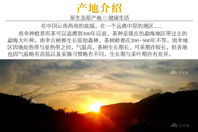 南伞古树普洱茶礼盒装（武汉库包邮）