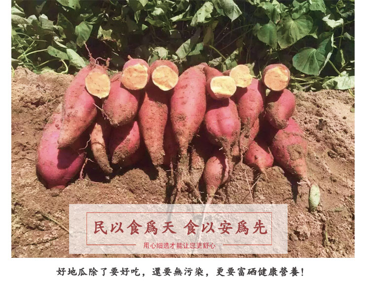六鳌红蜜薯红薯 5斤（原产地发货）