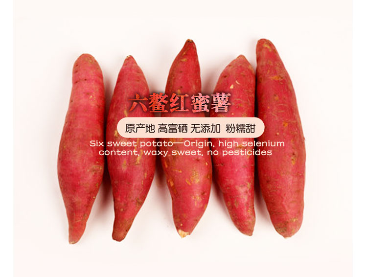 六鳌红蜜薯红薯 5斤（原产地发货）