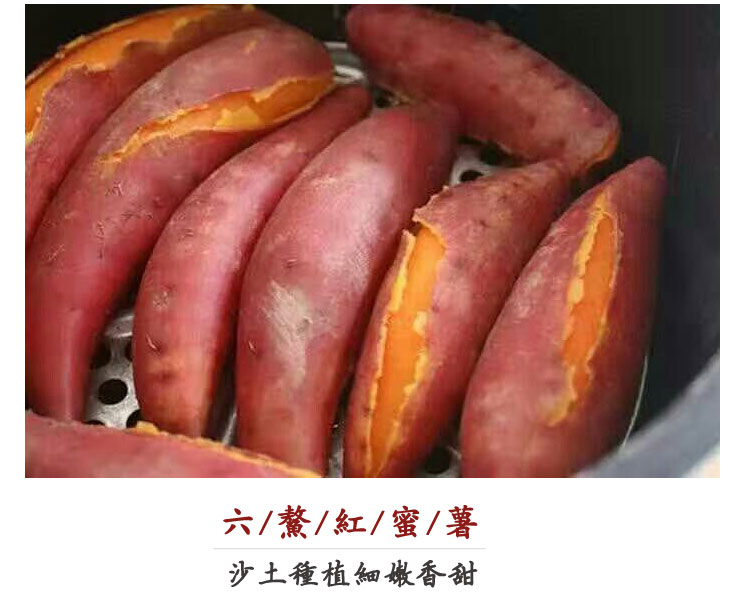 六鳌红蜜薯红薯 5斤（原产地发货）