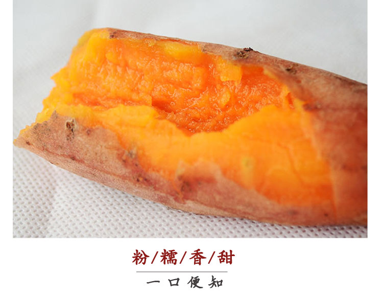 六鳌红蜜薯红薯 5斤（原产地发货）