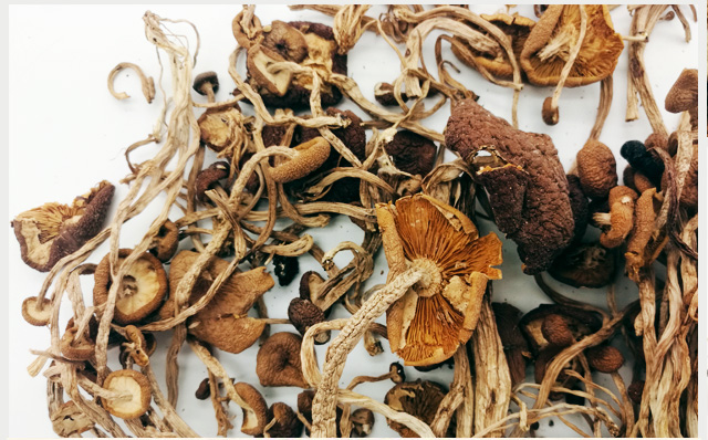 特级茶树菇（武汉库包邮）