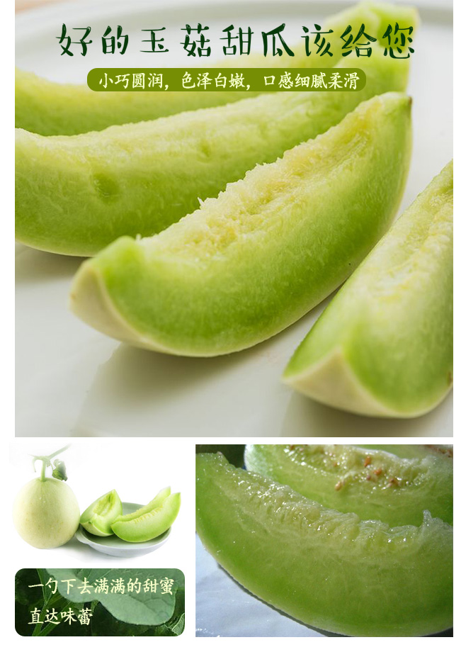 新品特价14-16号 山东玉菇冰淇淋甜瓜（山东库）
