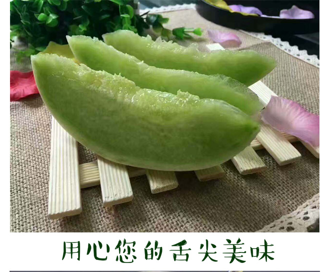 新品特价14-16号 山东玉菇冰淇淋甜瓜（山东库）