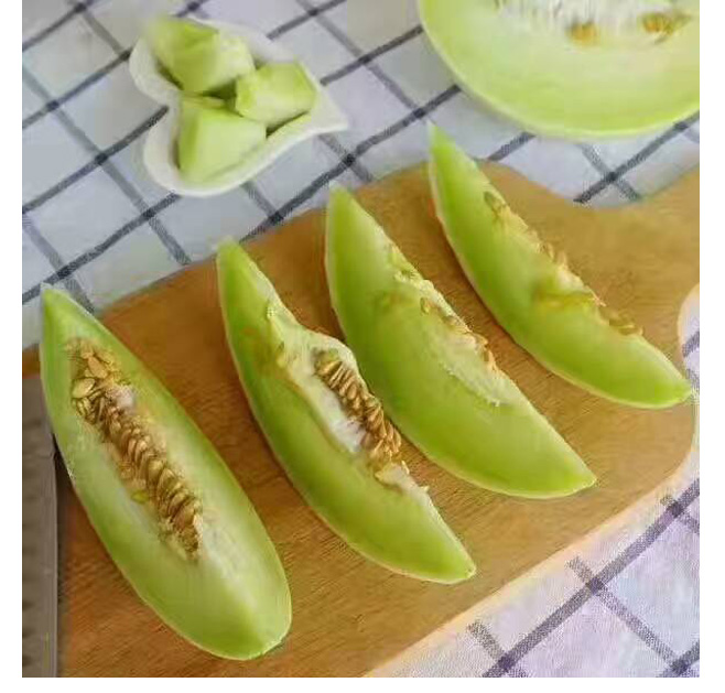 新品特价14-16号 山东玉菇冰淇淋甜瓜（山东库）