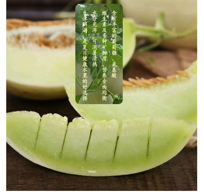 新品特价14-16号 山东玉菇冰淇淋甜瓜（山东库）