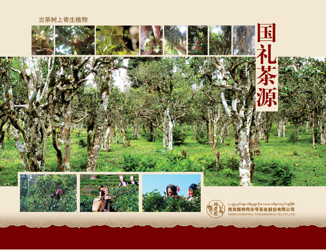 同庆号绿印 有机普洱茶 生茶（武汉库包邮）