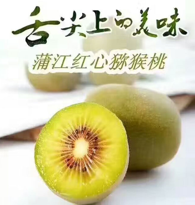 四川蒲江红心猕猴桃（原产地发货）