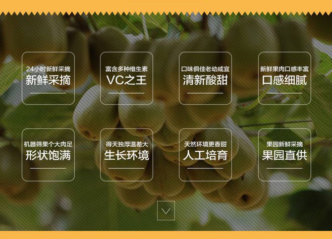 四川蒲江红心猕猴桃（原产地发货）