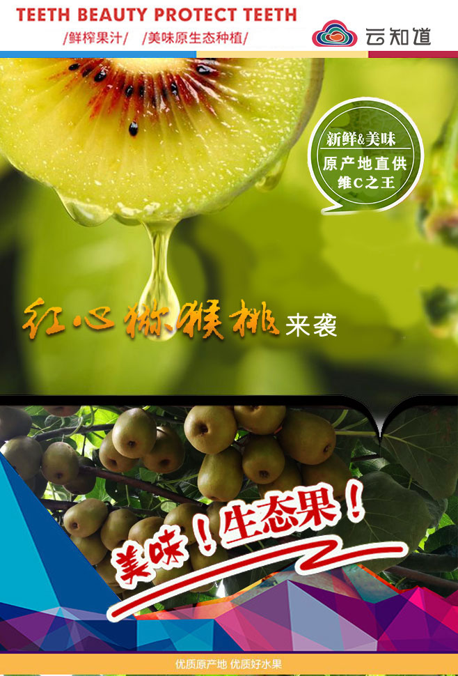 四川蒲江红心猕猴桃（原产地发货）