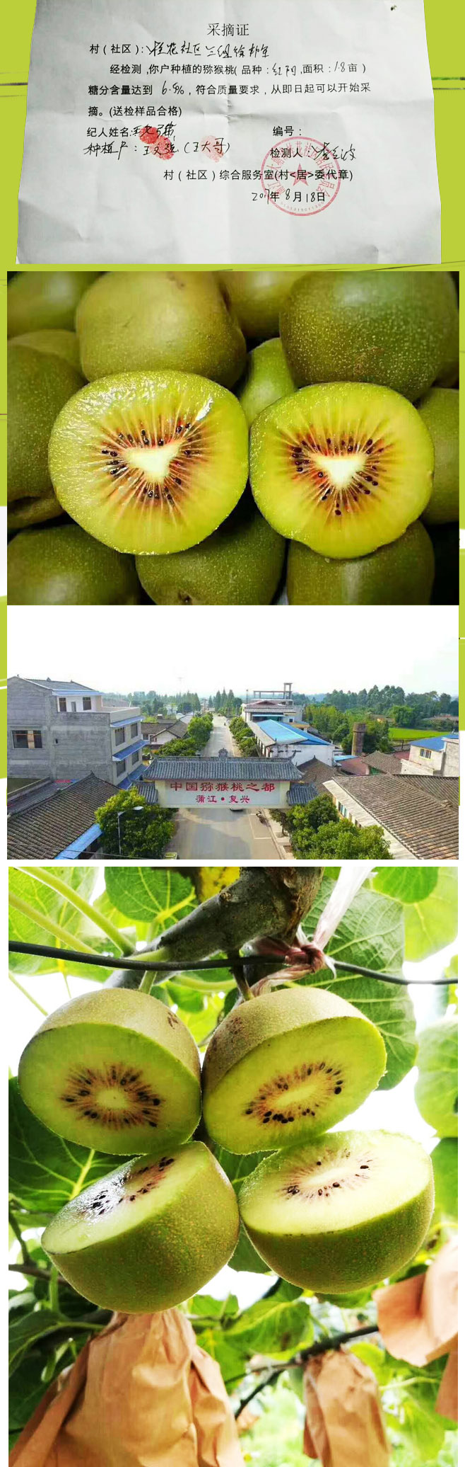 四川蒲江红心猕猴桃（原产地发货）