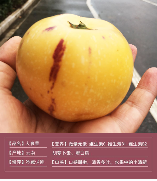 云南石林树上熟人参果（原产地发货）