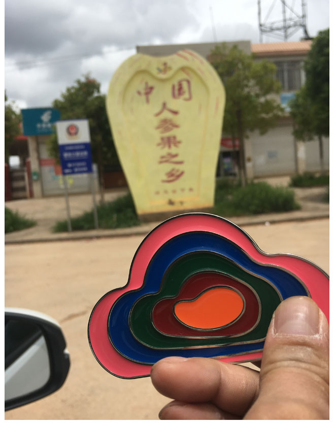 云南石林树上熟人参果（原产地发货）