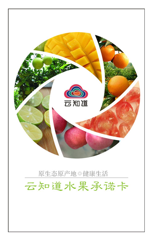 云南石林树上熟人参果（原产地发货）