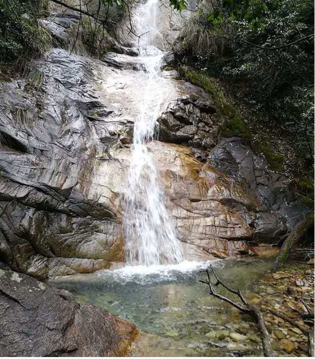 三清山农家手工干豆角（武汉库包邮）