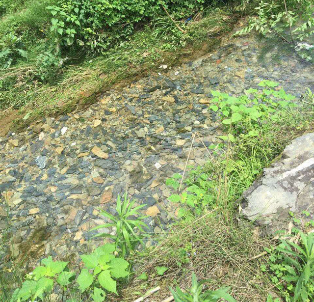 三清山农家手工干豆角（武汉库包邮）