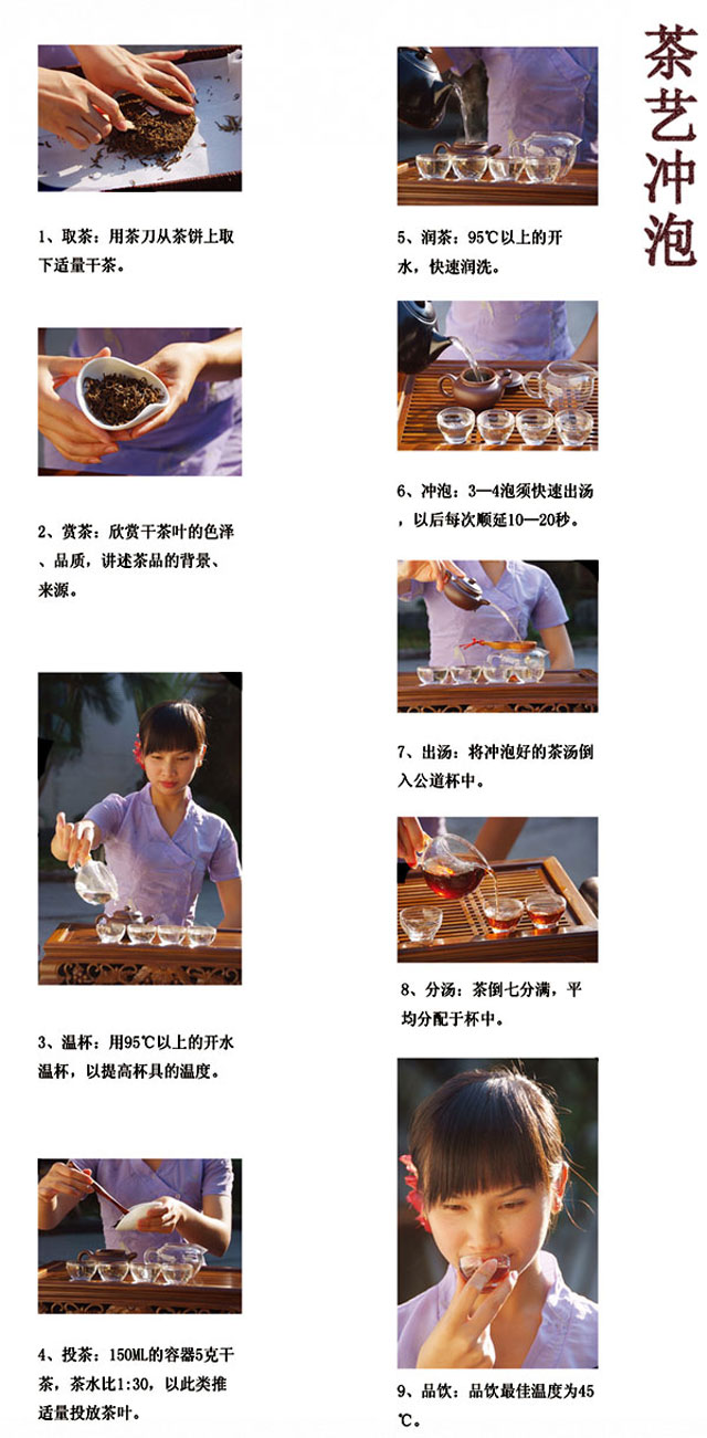 同庆号普洱茶 普天同庆绿印生饼礼盒 400g（武汉库包邮）