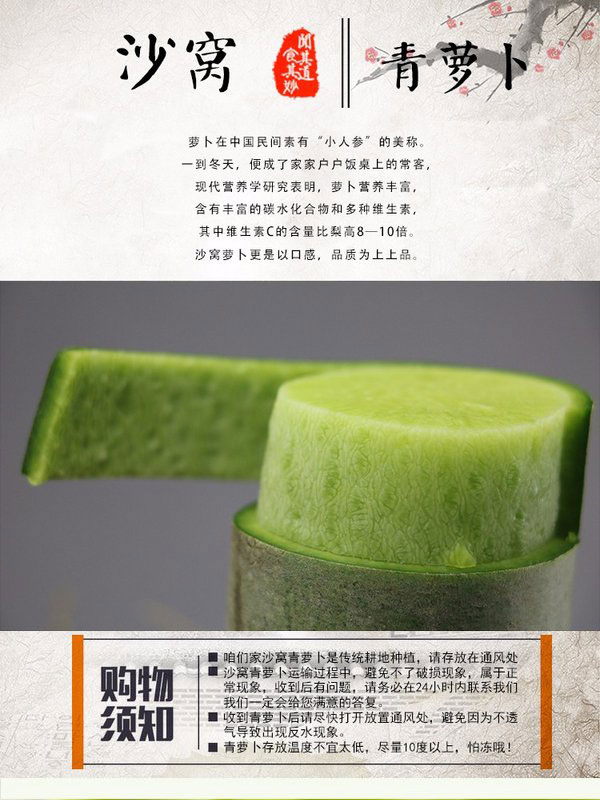山东沙窝水果萝卜 青萝卜（原产地发货）