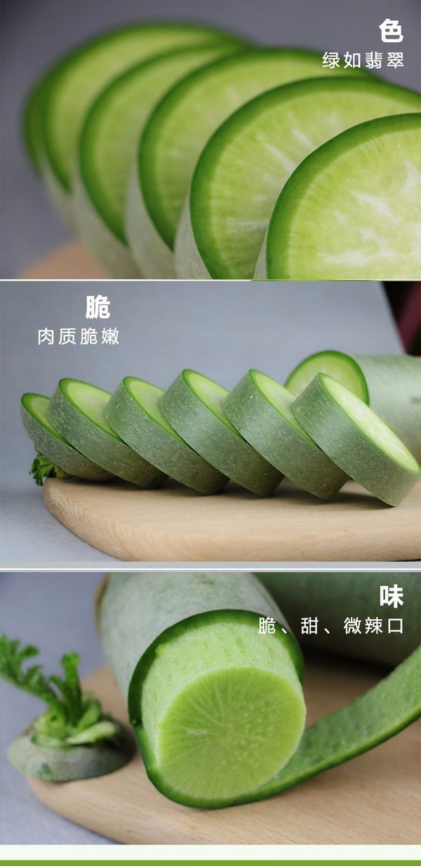 山东沙窝水果萝卜 青萝卜（原产地发货）