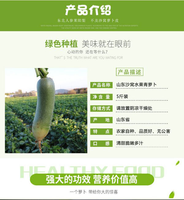 山东沙窝水果萝卜 青萝卜（原产地发货）