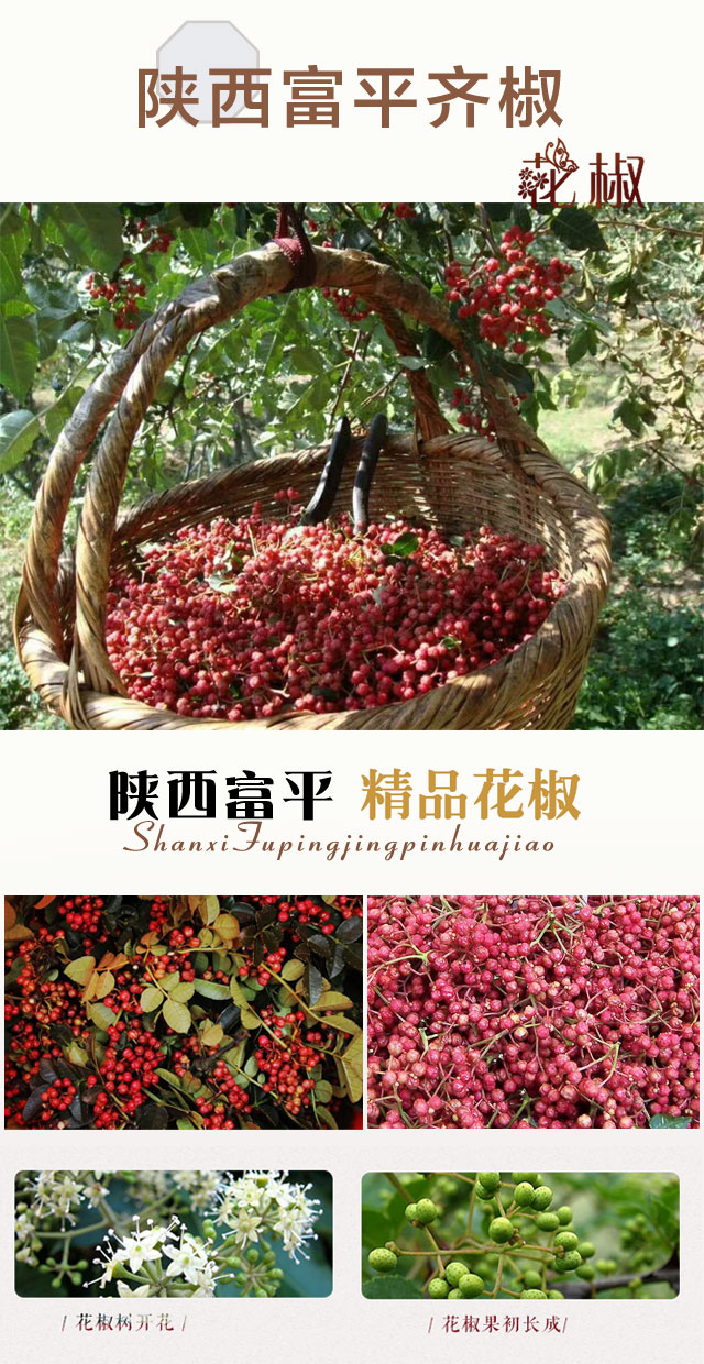 陕西富平齐椒花椒