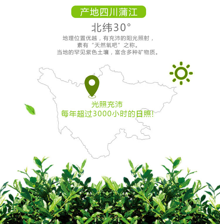 四川春见耙耙柑（原产地直发）