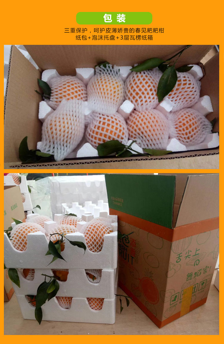 四川春见耙耙柑（原产地直发）