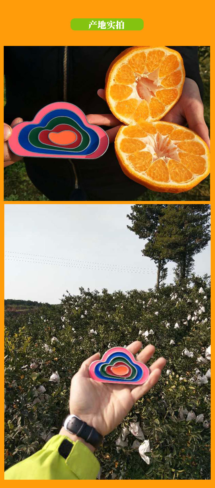 四川春见耙耙柑（原产地直发）