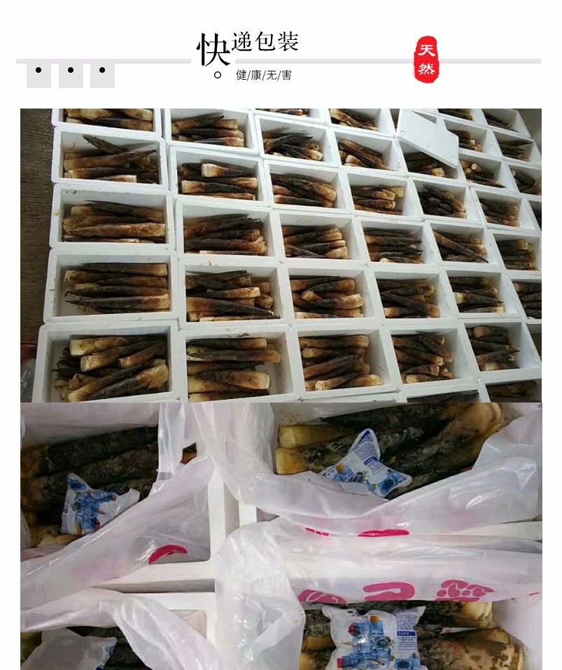 四川蒲江 雷竹春笋 雷笋（四川库发货）