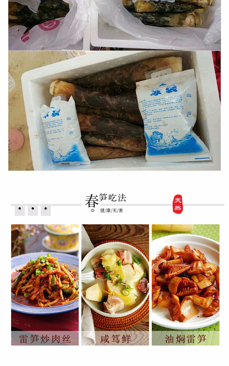 四川蒲江 雷竹春笋 雷笋（四川库发货）