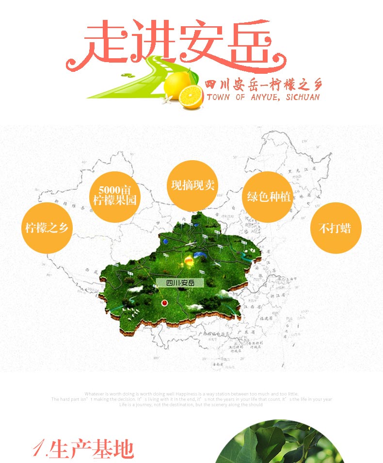 四川安岳柠檬 一级果  原产地直发
