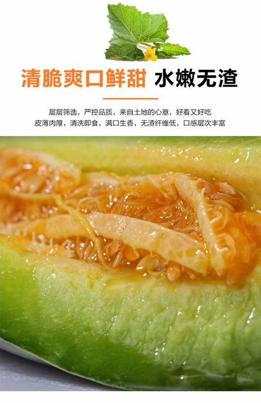 山东头茬羊角蜜瓜 4.5斤（原产地发货）